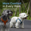 Adjustable Magnetic Vest Harness for Small Dogs