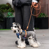 MUUDOG Island Series Dog Vest Harness