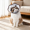 Plastic Dog Recovery Cone