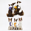Nylon Dog Harness and Leash Combo