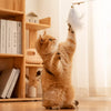Feather Cat Teaser Wand Toy for Interactive Playtime
