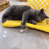 Cat Feather Ball Toy for Interactive and Independent Play