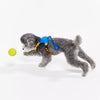 Nylon Dog Harness and Leash Combo