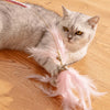 Feather Cat Teaser Wand Toy for Interactive Playtime