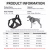 Adjustable Nylon Dog Harness with 59.1-Inch Leash