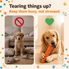Interactive Rope Dog Toy for Chew and Tug Play