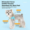 Nylon Rope Dog Leash