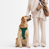 Nylon Dog Harness and Leash Combo