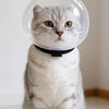 Cat Protective Cone Collar for Grooming