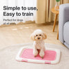 Plastic Dog Potty Training Tray with Mesh Grid for Dogs