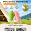 Foldable Silicone Pet Water Bottle for Walks and Outdoor Trips