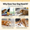 Squeaky Sports Ball Dog Toys