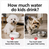 Floating Water Bowl for Dogs and Cats