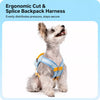 Harness and Leash for Small Dogs and Cats
