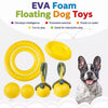 Interactive Dog Toy for Training & Play – Flying Disc, Tug Ring or Ball