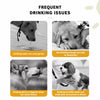 Portable Dog Water Bottle for Walks and Travel