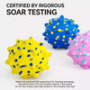 Dog Ball Toy with Round and Spiky Texture Options