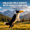 Floating Dog Frisbee Toy for Fetch, Training, and Water Play