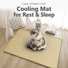 Woven Rattan Pet Mat with Foam Padding for Cats and Dogs