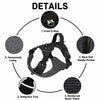 Lightweight Adjustable Nylon Dog Harness with Leash