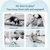 Squeaky Bouncing Ball Dog Toy
