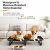 Elevated Foldable Dog Bed with Breathable Mesh