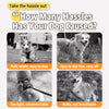 Pet Harness, Leash & Hat Sets for Cats and Dogs