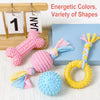 Dog Chew Toy for Playtime