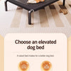 Elevated Mesh Cot-Style Dog Bed with Iron Frame