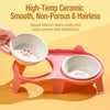 Elevated Double Ceramic Cat Bowls with Stand
