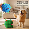 Squeaky Rolling Ball Dog Toy