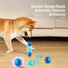 Squeaky Bouncing Ball Dog Toy