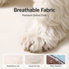 Elevated Dog Cot with Nylon Cover and Stainless Steel Frame