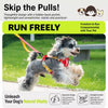 Adjustable Vest-Style Dog Harness with Leash