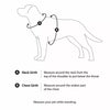 Nylon Dog Harness and Leash Combo
