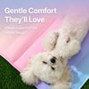 Nylon Pet Mat for Dogs and Cats