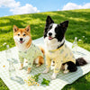 Lightweight Four-Leg Dog Shirt for Summer