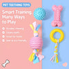 Dog Chew Toy for Playtime