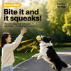 Squeaky Sports Ball Dog Toys