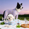 Four-Leg Mesh Dog Shirt with Printed Design