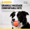Squeaky Sports Ball Dog Toys