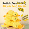 Plush Animal Squeaky Dog Toy