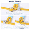 Dog Training Rope Leash