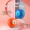 Squeaky Bouncing Ball Dog Toy