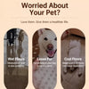Elevated Mesh Pet Bed with Iron Frame
