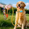 Nylon Dog Leash for Everyday Walks