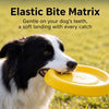 Floating Dog Frisbee Toy for Fetch, Training, and Water Play
