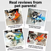 Dog Life Jacket for Swimming and Water Activities
