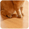 Feather Cat Teaser Wand Toy for Interactive Playtime