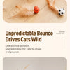 Cat Feather Ball Toy for Interactive and Independent Play